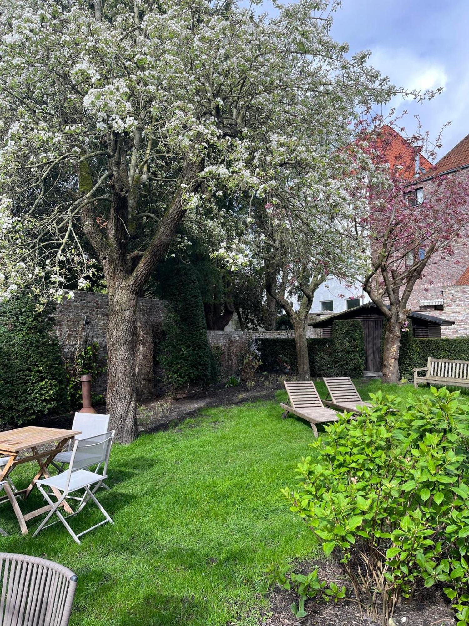 B&B Anna9 Bruges Exterior foto